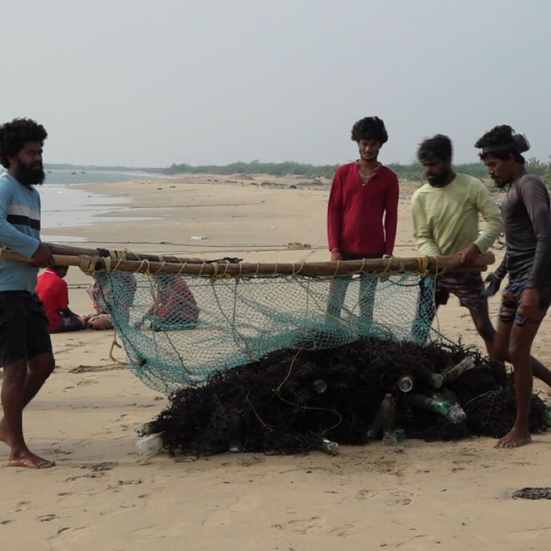 the-seaweed-consortium-solutions-2