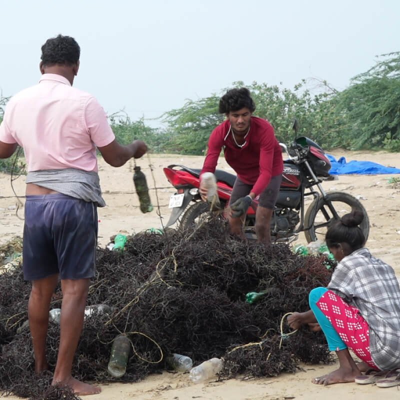 the-seaweed-consortium-solutions-3