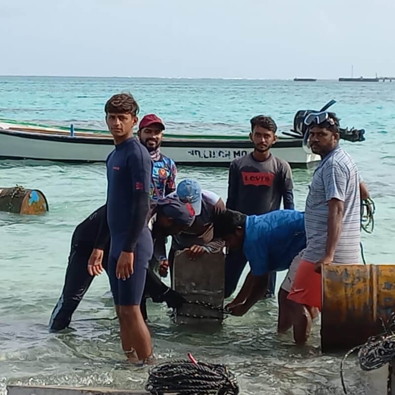 the-seaweed-consortium-solutions-5