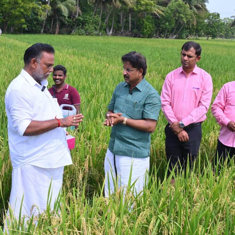 the-seaweed-consortium-solutions-6