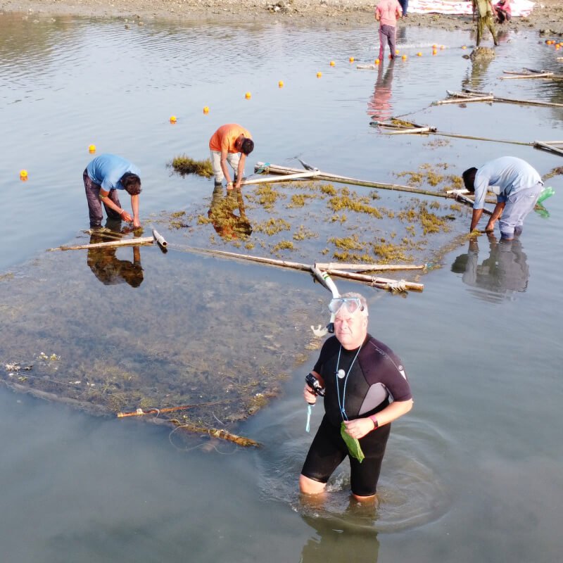 the-seaweed-consortium-tsc-social-impact-12